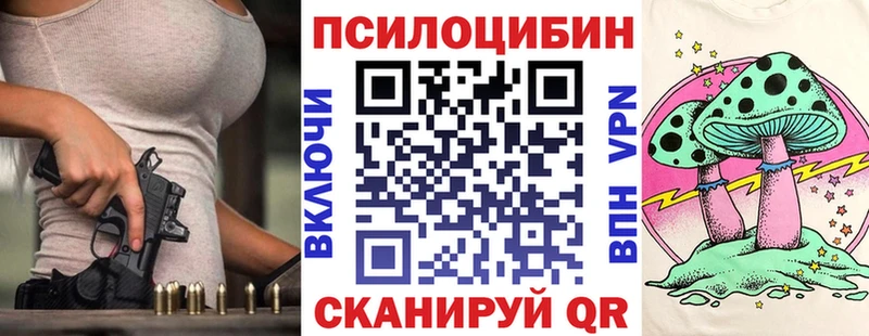 Галлюциногенные грибы Cubensis Нижний Новгород
